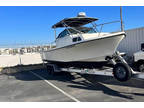 1996 Parker 2510 Walkaround