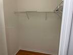 Nw Th Pl Apt,doral, Condo For Rent