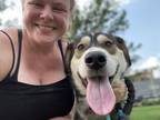 Adopt Scorpio a Retriever