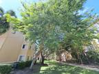 Nova Dr Apt,davie, Condo For Rent