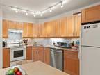 Coolidge Ave Apt,watertown, Condo For Rent