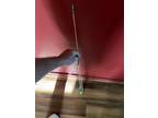 2 Piece Vintage St. Croix Bait Casting Rod 246 5' 6" Nice