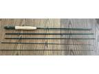 Fly Rod