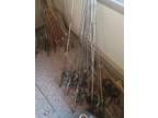 fishing Rods, Salt Water Reels, 50 Rods