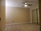 Roaring Dr Apt,altamonte Springs, Condo For Rent