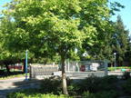Stony Point Apartments