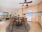 1 Bed 1 Bath Available $1295/Mo