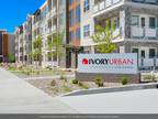 2Bed 2Bath For Rent $1689/month
