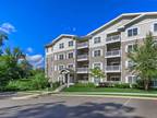 Lovely 1BD 1BA $2050 Per Month