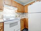 1 Bed 1 Bath $1060 Per Month