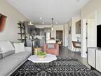 Great 1Bed 1Bath $1448/mo