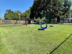 2Bed 2Bath Available $1225 Per Month