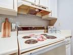 3 Bed 2 Bath Available Now $1245/Month