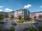 1 Bedroom 1 Bathroom $2950/Mo