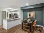 3 BD 2 BA $3199/month
