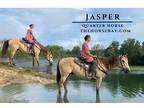 Dun Quarter Horse