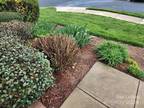 Shingleoak Dr, Lake Wylie, Home For Rent