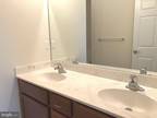 Halifax Pl, Hamilton, Flat For Rent
