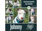 Adopt Johnny a Husky, Hound
