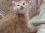 Skittles Orange White Face