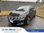 2019 Nissan LEAF