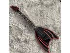 Special Shape Electric Guitar Black Body Rosewood Fretboard Black Part FR Bridge