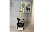 ST Electric Guitar Black Body Floyd Rose Bridge Chrome Parts Maple Fretboard