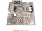 Blackhawk Apartment Homes - One Bedroom - 723 sqft