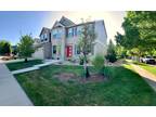 Room for Rent in Beautiful Longmont Home