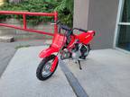 2023 Honda CRF50F Motorcycle for Sale