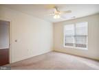 Maryland Ave Unit,rockville, Condo For Rent