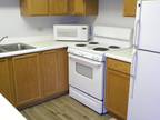 N Mclean Blvd Apt,elgin, Condo For Rent