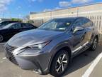2020 Lexus NX 300
