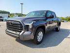 2024 Toyota Tundra Gray