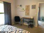 Sand Piper Dr Unit,rehoboth Beach, Condo For Rent