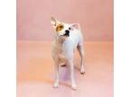 Adopt Pen 199c Fauna a Terrier