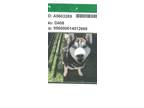 Adopt Oso a Siberian Husky