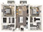 High Street View Luxury Apartments - James Rose Gold