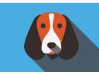 Adopt zz. Blank Adoption Application - PLEASE REFERENCE THE DOG YOU ARE