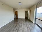 Maple Ave Apt,evanston, Condo For Rent