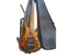 Roscoe Skb3006 Flame Maple Top & Mahogany body