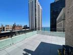 E Walton Pl Apt E, Chicago, Flat For Rent