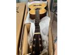 Recording King Single 0 M9M Solid Tone Woods Parlor