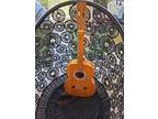 Lotus Model L-85 6 String Guitar