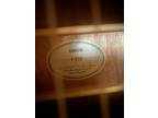 Yamaha F 310 Acoustic Guitar (CHEAP)