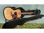 Gibson L-00 Studio 2019 - Walnut Baggs Pickup