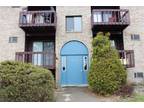 Fernwood Rd, Wintersville, Flat For Rent