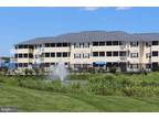 Palm Dr Unit,rehoboth Beach, Flat For Rent