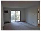 Massachusetts Ave Apt,arlington, Flat For Rent