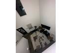 Jasmine Marie Pl, Conroe, Home For Rent
